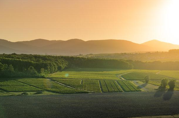 應(yīng)該如何扎實的自學(xué)攝影測量學(xué)？