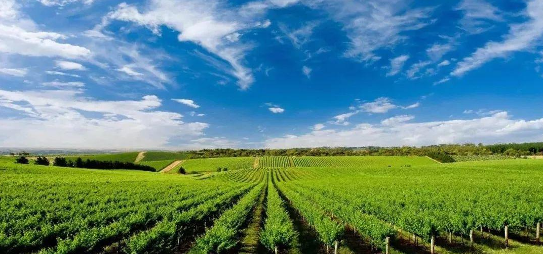 精準(zhǔn)農(nóng)業(yè)用多光譜還是高光譜遙感技術(shù)？